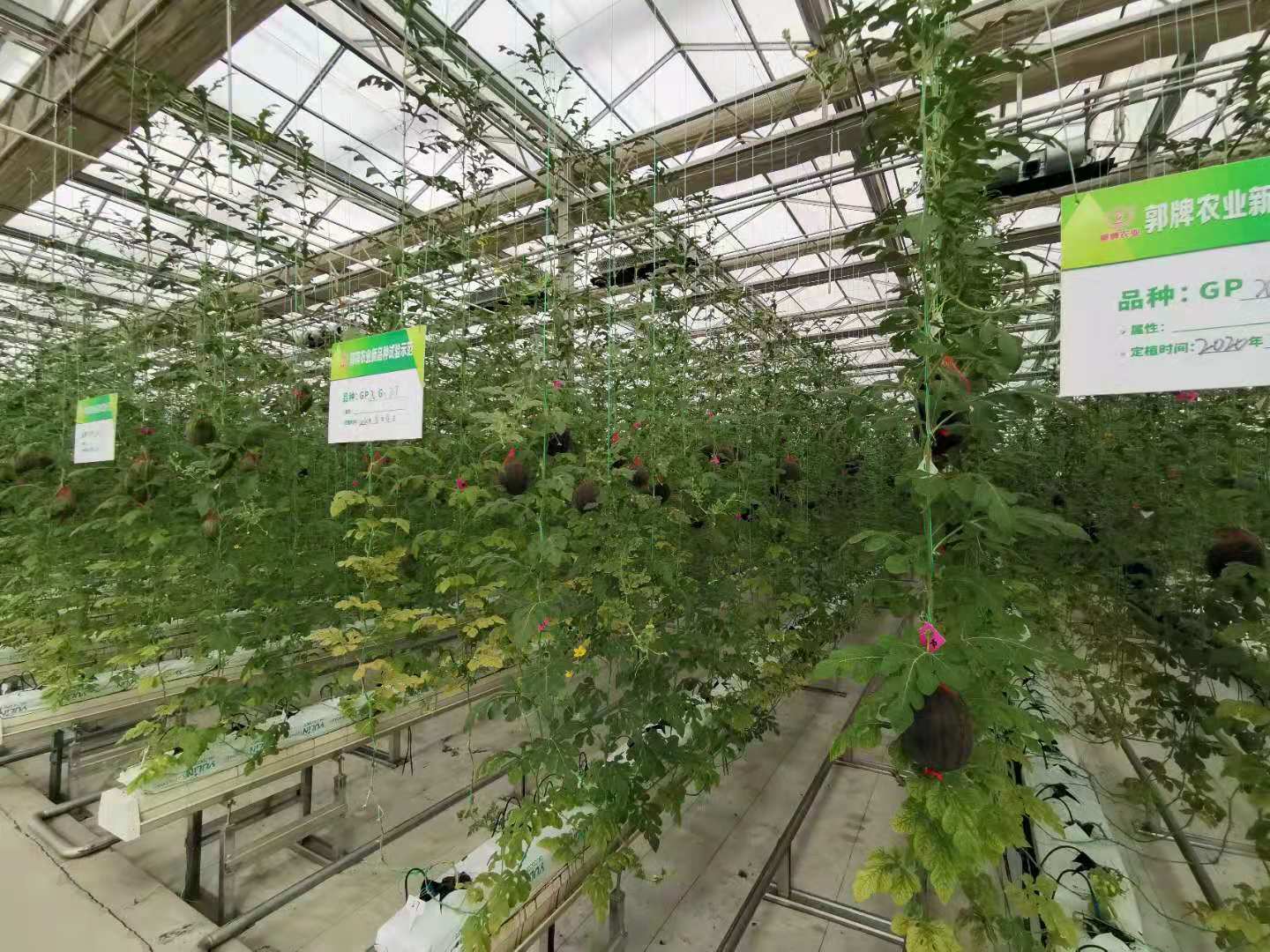 1661232926837113.jpg 微信圖片_202012281632352.jpg