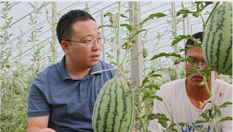 1661234964518544.jpg 1661234896071.jpg